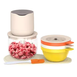 Seperate Bowl 600Ml Garlic Vegetable Meat Usb Wireless Mini Electric Food Chopper