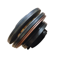Limiteur de couple par friction TIANNIU TL200-2 TL250-1 avec arbre de connexion à chaîne, protection contre les surcharges du moteur, garantie 1 an