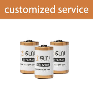 Terminal baterai baterai <span class=keywords><strong>Lithium</strong></span> <span class=keywords><strong>Ion</strong></span> ukuran 1200mah <span class=keywords><strong>Er14250</strong></span> <span class=keywords><strong>3.6v</strong></span> 1/2AA untuk peralatan rumah tangga mainan alat listrik elektronik konsumen - Product Image 6