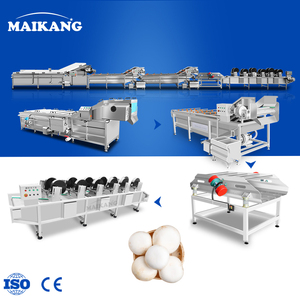 Ligne de nettoyage et de blanchiment hygiénique en acier inoxydable avec refroidissement rapide pour cuisine centralisée et fonctionnement discontinu ou continu, et réduction des coûts - Product Image 1