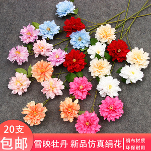 ดอกโบตั๋นประดิษฐ์ 20 ชิ้น พลาสติก สำหรับตกแต่งเพดานงานแต่งงาน สีแดง สีชมพูแชมเปญ สีแดงกุหลาบ ของตกแต่งบ้าน - Product Image 3