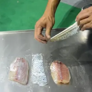 Descascador removedor de pele de peixe salmão, peixe em atacado automático