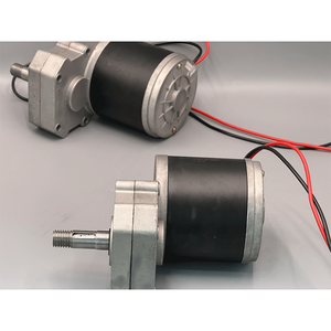 Motore DC a spazzole ad alta potenza 12V 24V 600W con albero di uscita da 18mm per la sostituzione del motore di tosaerba elettrico - Product Image 4