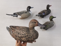 Leurre de Chasse Extérieur Modèle Anas Platyrhynchos, Canard Colvert Entièrement Floqué, Leurre Flottant en EVA, Canard Pilet pour Appels de Chasse
