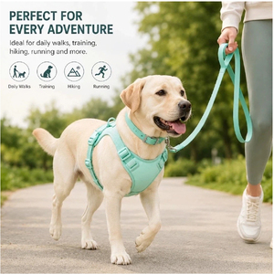 Harnais et laisse ajustables et imperméables pour chien et chat, avec boucle personnalisée, confortables, toutes saisons, en PVC. - Product Image 5