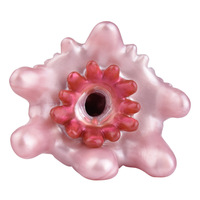 Jouets sexuels masculins pour la masturbation : Coupe d'avion Youyou en bambou, alternative au modèle Alien Fox, avec moule inversé discret pour vagin et anus, portable