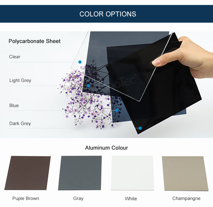 White/Purple Coffee/Grey /Champagne