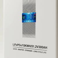 Sistem Penyimpanan Energi Surya Baterai LiFePO4 51.2V 300Ah 15kWh, Stasiun Daya Cadangan Rumah, Solusi UPS Terpisah yang Dipasang di Dinding, Pro