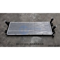 Nouvel ensemble de radiateur moteur d'origine 13170637-00 KD-1301030 pour BYD ATTO 3 YUAN PLUS Côté droit