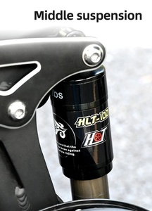 Vélo électrique pliable ENGWE Engine X 250W, autonomie de 100 km, vitesse maximale de 25 km/h, suspension intégrale - Product Image 5