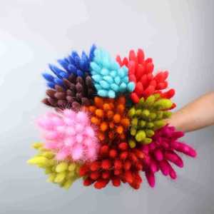 Queues de lapin naturelles colorées en fleurs séchées, Lagurus Ovatus, herbe de la <span class=keywords><strong>pampa</strong></span> naturelle, queues de lapin préservées - Product Image 5