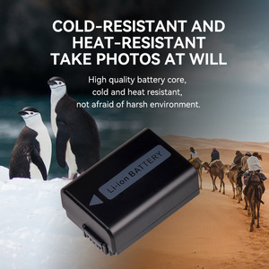 Batterie d'appareil photo FB NP FW50 pour <span class=keywords><strong>sony</strong></span> zve10 a6400 a6300 a6000 a7m2 a7r2 a6100 a5100 nex7 appareil photo numérique - Product Image 3