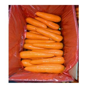 Preis für frische Karotten in China Orange White <span class=keywords><strong>Carrots</strong></span> Vegetables Importeur Chinese 2025 New Crop Carrot - Product Image 1
