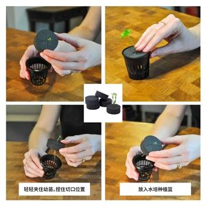 Éponge en coton hydroponique Eva de 48 mm pour la culture hors-sol de semis et légumes - Product Image 4