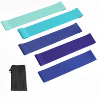 Juego de Bandas de Resistencia Duraderas para Ejercicios, para Hombres y Mujeres, Entrenamiento en Casa, Fisioterapia, Glúteos, Piernas, con Bolsa de Transporte