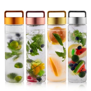 Caliente nuevos productos a prueba de fugas libre de BPA, té de hoja suelta y infusor fruta doble aislamiento de vidrio de botella de té con filtro - Product Image 3