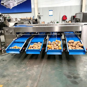 เครื่องคัดแยกผลไม้อัตโนมัติสำหรับมะเขือเทศ อะโวคาโด แอปเปิ้ล ส้ม พีช เลมอน พร้อมจำหน่าย - Product Image 3
