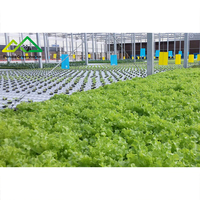 Système d'hydroponie flottant commercial en PE/PVC |   Solution de serre à grande échelle pour la culture de la laitue et des herbes aromatiques à haute densité