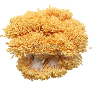 Étamines de <span class=keywords><strong>fleurs</strong></span> de <span class=keywords><strong>malt</strong></span> de couleur mate faites à la main artificielles bricolage accessoire de décoration de mariage et de festival de noël - Product Image 5