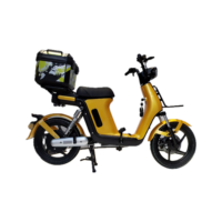 Vélo électrique hybride à assistance au pédalage pour adulte, 48V 250W 1000W, avec dispositif IoT pour la location et le partage, homologué CE CEE, type cyclomoteur, scooter, vélo tout-terrain