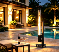Chauffe-terrasse portable à granulés avec grand bac, faible teneur en cendres et flamme stable, détachable et facile à nettoyer