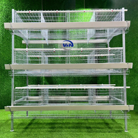 Cage à poulets de type H galvanisée, 4 niveaux, 2 portes, nouvelle, haute qualité, pour élevage en batterie, fabricant, faible coût