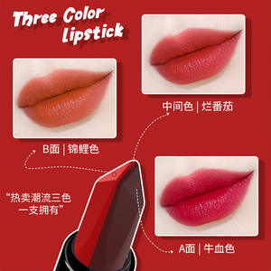 MZV <span class=keywords><strong>3</strong></span> Kleuren in 1 Multifunctionele Lipstick Groothandel Waterbestendig Langdurig Hooggepigmenteerde Hydraterende Matte Lipstick - Product Image 2