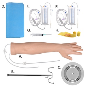 Modelo de Entrenamiento para Inyección Intravenosa, Infusión en el Brazo, Cánula IV - Product Image 2