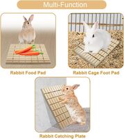 Planche à gratter pour lapins, jouets à mâcher pour le soin des griffes et des dents, tapis en bois pour lapins