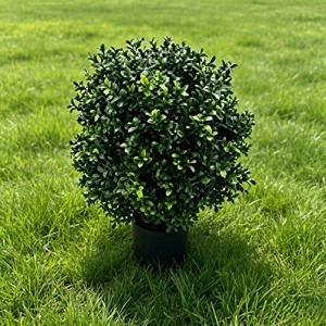 Follaje Artístico Retro de Desierto Árido con Hojas Texturizadas Únicas para Decoración Escénica, Estilo de Boceto de Jardín, Paisaje al Aire Libre - Product Image 6