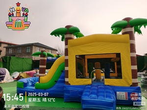 Châteaux gonflables de glissière de maison de rebond <span class=keywords><strong>gonflable</strong></span> commerciale à <span class=keywords><strong>acheter</strong></span> - Product Image 2