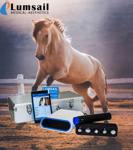 हार्स उपकरण घाव उपचार के लिए अल्ट्रासाउंड मशीन भौतिक चिकित्सा उपकरण - Product Image 6