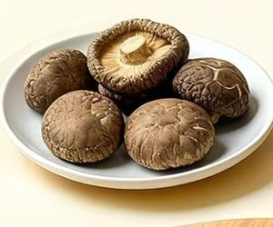 批发散装即食脱水健康零食 - 非油炸、低温脱水干香菇。 - Product Image 2