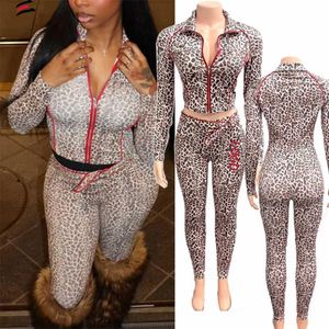 2025 Spring Cheetah Camo Branch <strong>Print</strong> Women Two Piece Leopard <strong>Zebra</strong> Pattern Zip Hooded Jacket <strong>Top</strong> Flare Pants 2 Piece Women Set - Product Image 4