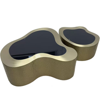 Ensemble de table basse en verre trempé noir, design minimaliste italien, durable, avec plateau en acier inoxydable brillant, meubles de salon