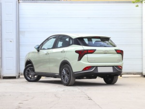 Excellent rapport qualité-prix Neta V Tide 400 EV, SUV compact 5 places, conduite à gauche, excellent état, autonomie de 400 km, véhicule électrique d'occasion - Product Image 3