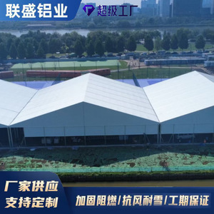 Carpa Rectangular para Ferias Comerciales Liansheng de Aluminio, Tela Oxford de PVC Resistente al Viento, para Uso en Todas las Estaciones - Product Image 5
