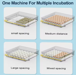 Incubateur Modèle Commercial Économe en Énergie et Respectueux de l'Environnement Adapté à l'Agriculture à Grande Échelle Extrêmement Efficace - Product Image 5