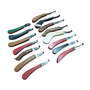 ใบมีดขนาดเล็กรูปวงรีใบมีดสแตนเลสสำหรับเครื่องดนตรีสัตวแพทย์สัตว์ - Product Image 1