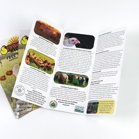 Impression de brochures pliées en trois couleurs, dépliants personnalisés, papier couché, papier artistique, A4, A5, fournisseur OEM, MOQ 1000 pièces