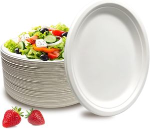 Assiettes en canne à sucre de qualité alimentaire, résistantes aux coupures, durables, pour pique-nique en plein air, <span class=keywords><strong>camping</strong></span>, service de nourriture - Product Image 2
