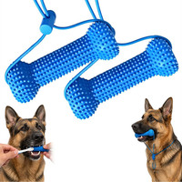 Bâtonnet à mâcher dentaire pour chien OEM personnalisé, nouveau, pour un nettoyage rapide des dents, élimination de la plaque et du tartre, en stock