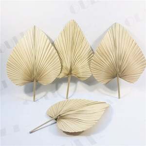 Q-1063 Feuilles de <span class=keywords><strong>palmier</strong></span> séchées naturelles, <span class=keywords><strong>éventail</strong></span> fleuri, écologique, décoration de mariage, Saint-Valentin, décoration de la maison - Product Image 1