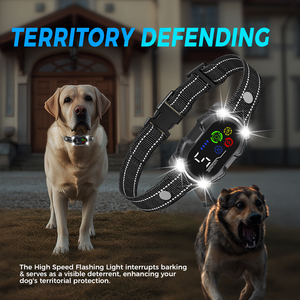 <span class=keywords><strong>Collier</strong></span> <span class=keywords><strong>anti</strong></span>-<span class=keywords><strong>aboiement</strong></span> avec lumière clignotante à haute intensité, vibration de choc sans cruauté, puce intelligente <span class=keywords><strong>anti</strong></span>-faux déclencheur pour toutes les races de chiens - Product Image 2