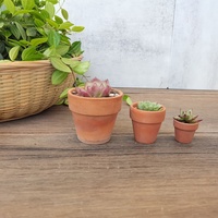 Vente chaude Mini Pots En Terre Cuite Minuscule Poterie Planteur pour Succulent Cactus pour DIY Artisanat Jardin Décor Cadeaux