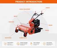 Recortadora de Césped Manual Ligera a Gasolina Personalizada con Motor de 420cc/270cc y Manijas Ajustables en Altura para Jardín
