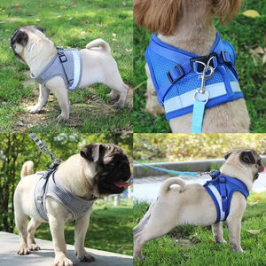 Harnais pour chien en tissu de maille réglable gilet facile à marcher accessoires pour animaux de compagnie harnais pour chien de dressage en plein air avec laisse pour chien vente en gros - Product Image 6
