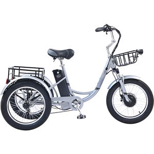 Triciclo eléctrico para silla de ruedas, triciclo eléctrico cerrado para adultos, motocicleta, triciclos eléctricos de 3 ruedas, precio de 3 ruedas - Product Image 5