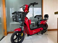 Vélo électrique pour adulte 48V 350W avec pneu tubeless de 14 pouces, double alarme à distance et frein à tambour avant et arrière