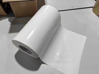Film de transfert thermique en silicone pour imprimante UV stéréoscopique 3D TPU, haute température DTF, étiquettes personnalisées lavables pour vêtements
